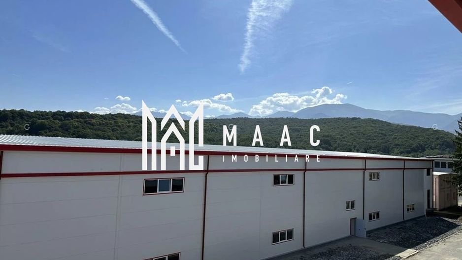 Hala producție I 6857 mp I Acces TIR I Pod Rulant I Mârșa - Poză 5