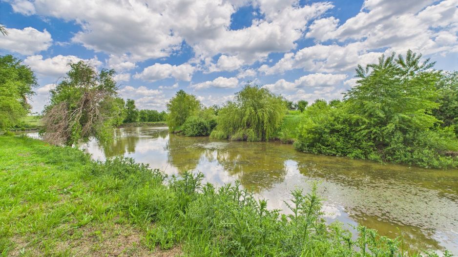 Teren cu baltă- oportunități multiple la Fibiș - Poză 18