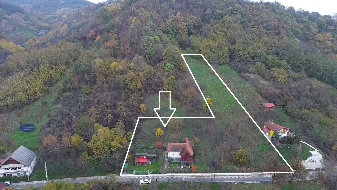 De vanzare Casa cu teren 3500MP in Sabisa/Maramures - Poză 7