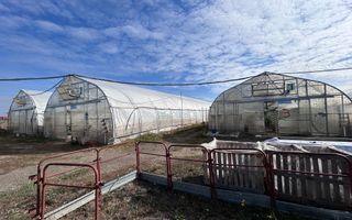 De vanzare-afacere la cheie - Poză 5