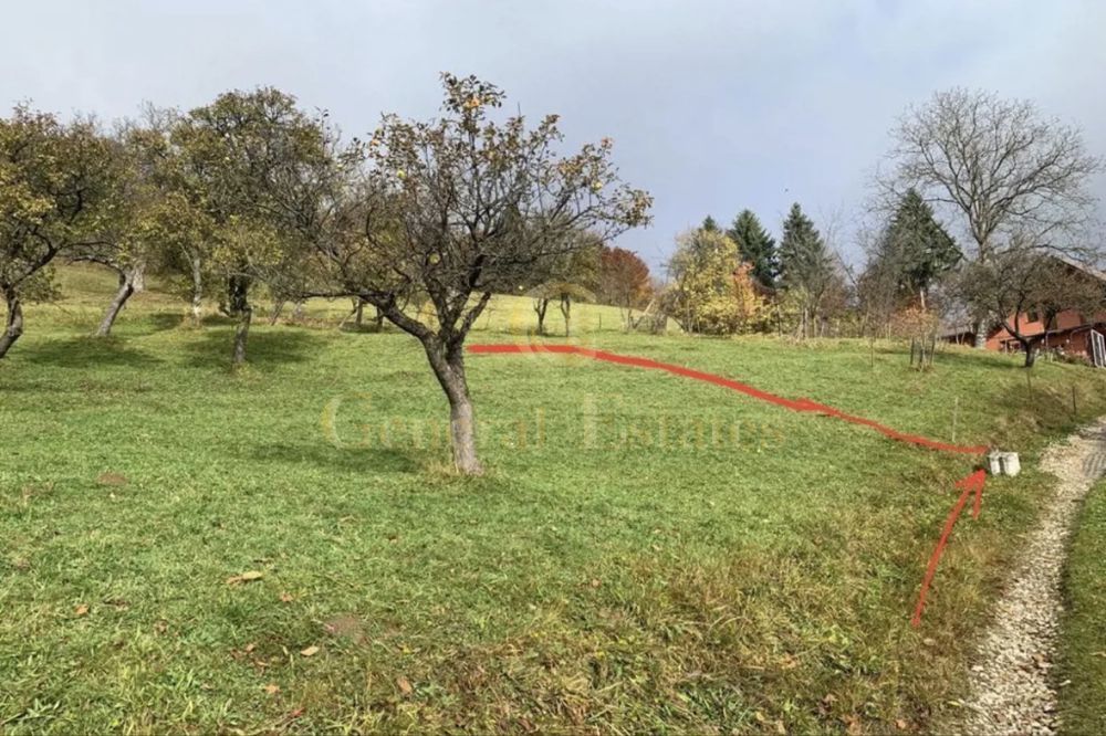 Teren Moieciu de Jos - Poză 3