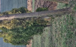 vând teren iasi - Poză 5