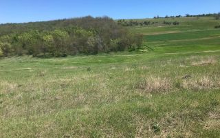Spre vânzare , teren agricol, 15 ari, com. Bulboaca, Aneni Noi - Poză 1