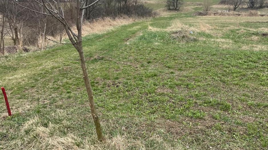 Vânzare teren 3145 mp – Mănăstirea Cașin, Onești - Poză 5