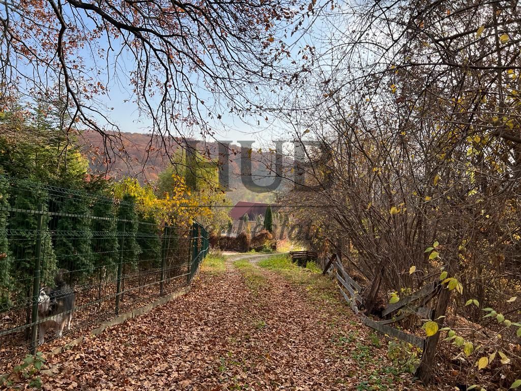 TEREN 1095MP -PODIS -DN 2G- BACAU -MOINESTI - Poză 5