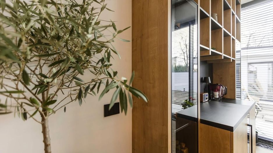 Proiect Modern in Dumbravita - Poză 31