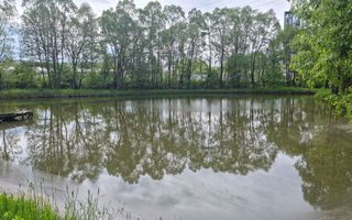 CASA 3 CAMERE, TEREN 6200 MP + 2 LACURI, CAMPULUNG, NAMAIESTI - Poză 29