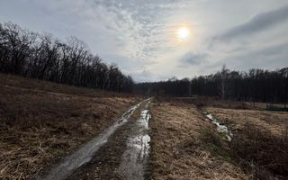 De vânzare două parcele de 3752 mp împreună- zona Făget - Poză 4