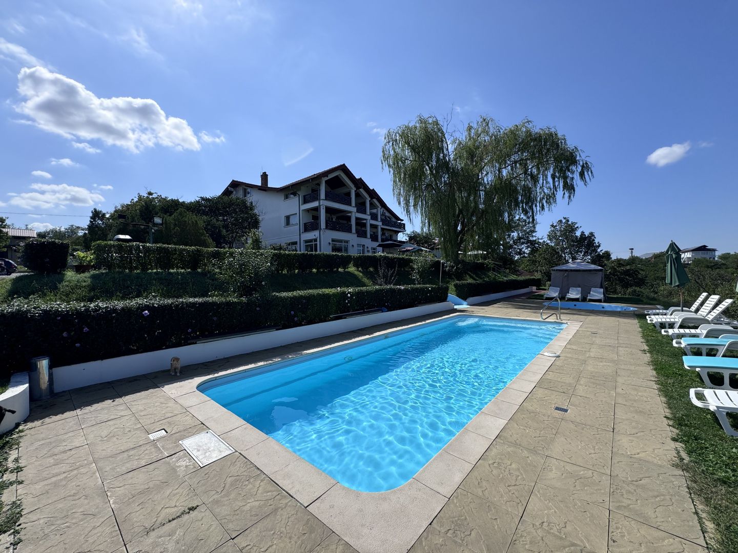 Hotel 20 camere Delta Dunarii 50 m deschidere teren 6000 mp acces auto - Poză 37