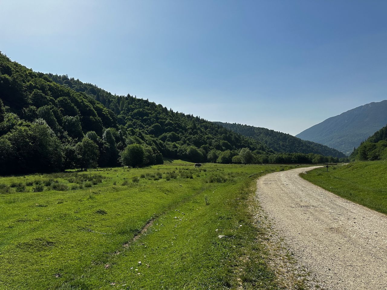 2 Loturi a 2124+2744mp Barsa Fierului / Plaiul Foii - Poză 7