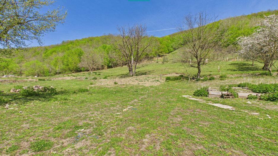Teren  pentru investiții  în Luncoiu de Jos - Poză 7