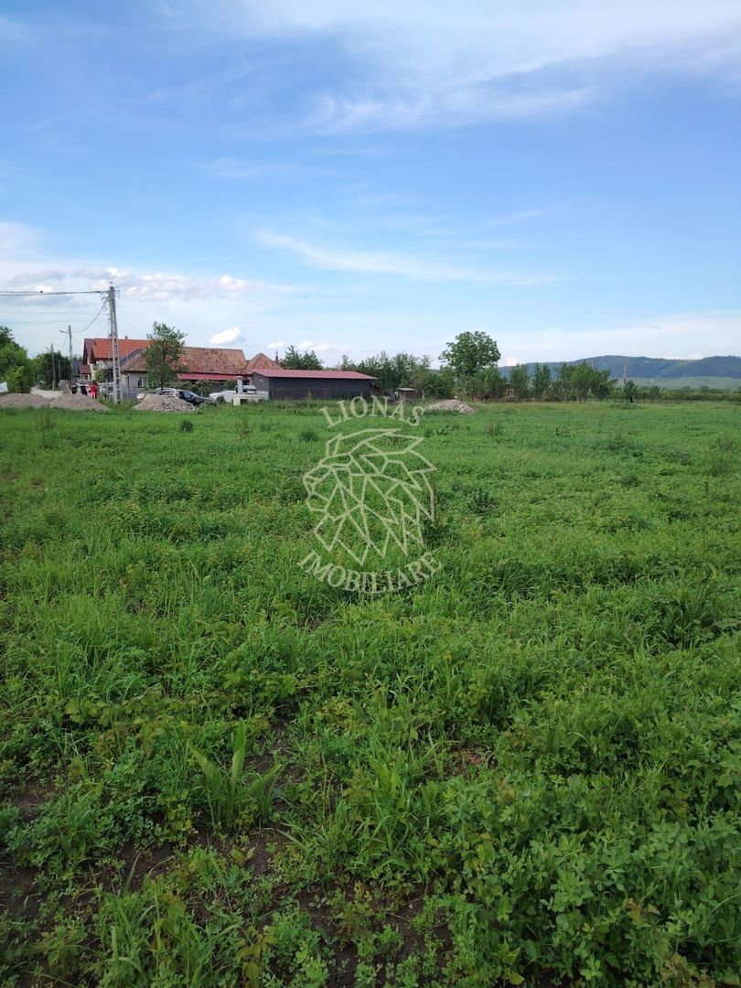 Oportunitate investitie 5 parcele teren intravilan ideal case/servicii-Rascruci - Poză 3