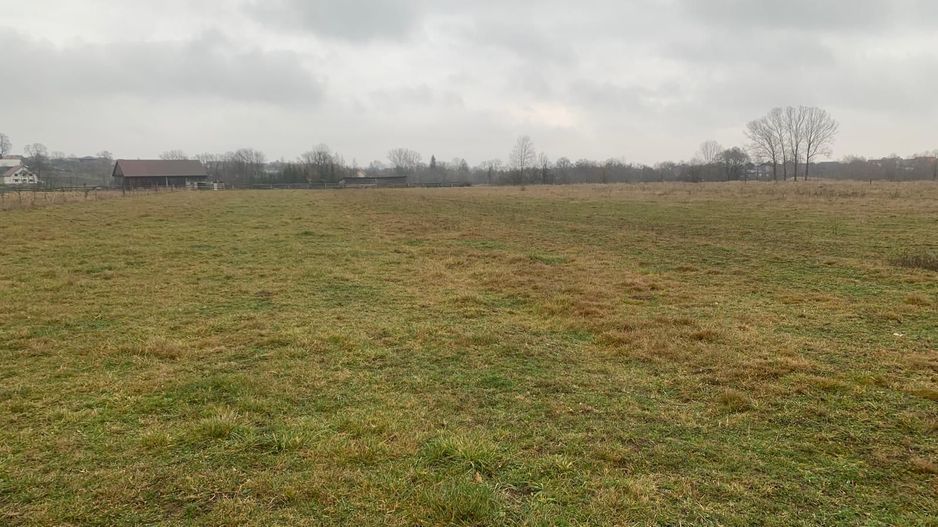 Teren pretabil construcții/investiții | 26.000 mp| Horodnicu de Sus - Poză 3