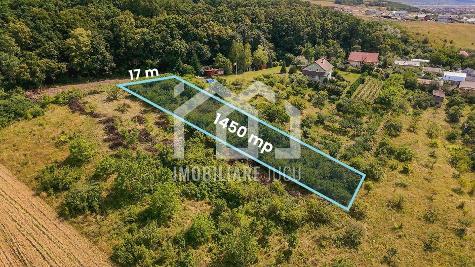 Teren intravilan – 1.450 mp | Jucu de Sus, marginea pădurii - Poză 3
