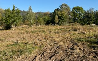 TEREN INTRAVILAN, CAMPULUNG,  2691 MP - Poză 30