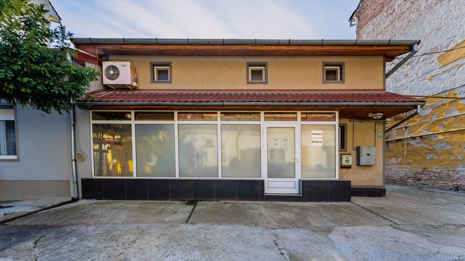 Casă 3 niveluri strada Vasile Alecsandri - Poză 4