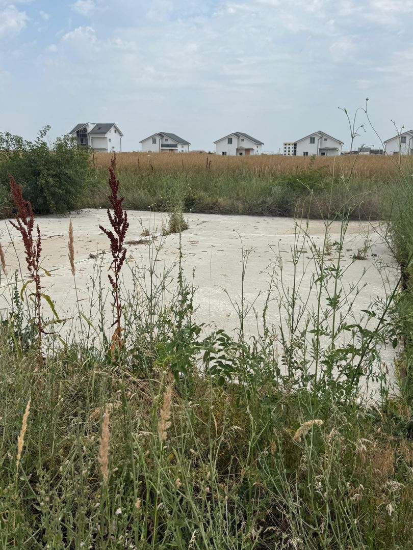 TEREN VIDRA BERCENI 307 MP - Poză 3