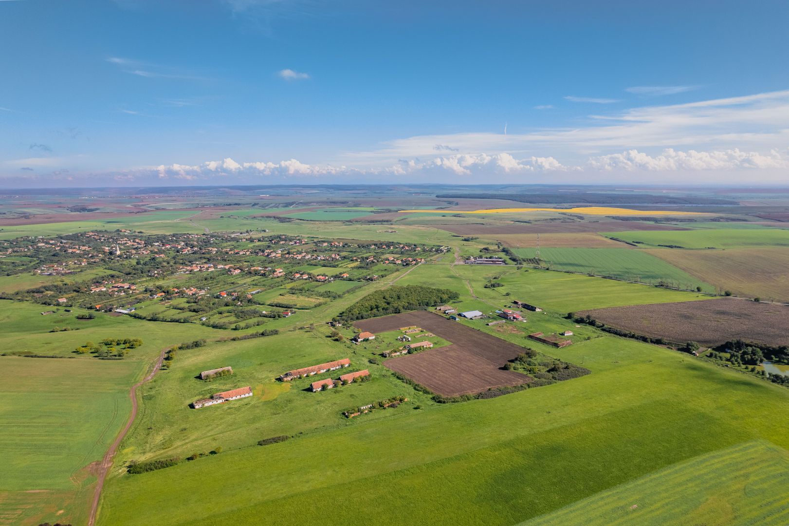Teren de 69188 mp în Seceani - Poză 4