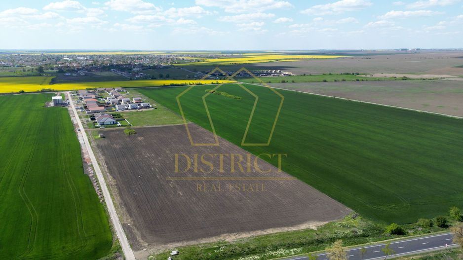 COM 0% Teren industrial pentru hale, servicii | DN69 Sanandrei - Poză 2