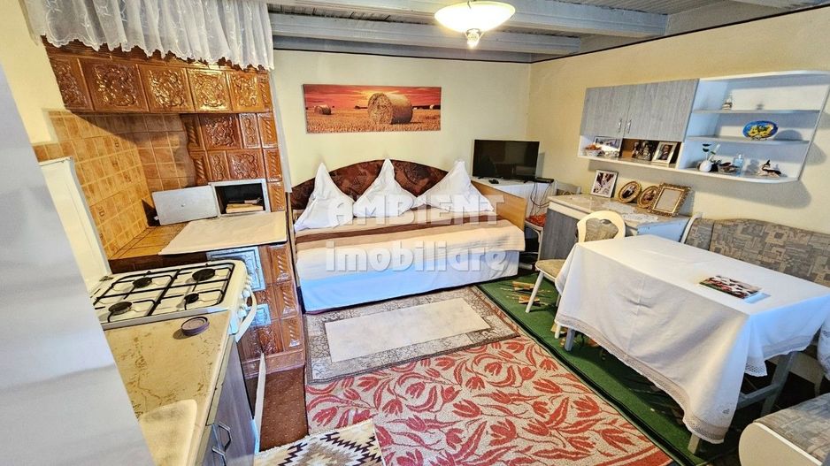 Gospodarie traditionala in localitatea MÎNJEȘTI, la 10 km de Vaslui; - Poză 13