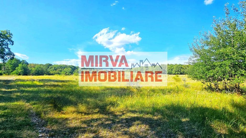 Teren intravilan construibil 3.500 mp Păcureți | UTR 6, P+2, POT 30% - Poză 6