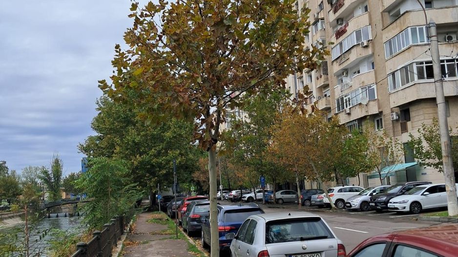 De inchiriat apartament cu 2 camere , Timpuri Noi sector3 - Poză 13