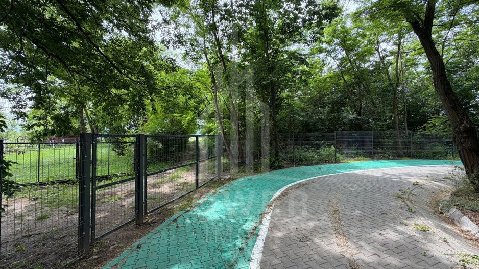 OCAZIE RARĂ - Teren cu cabană de vânzare lângă Lacurile Naturale - Ocna Sibiului - Poză 13