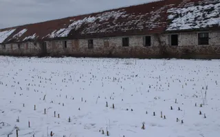 Fermă agricola funcțională de vanzare I Vurpar - Poză 15