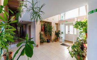 Proprietate Premium cu Piscină – 450 MP – De Închiriat în Timișoara - Poză 6