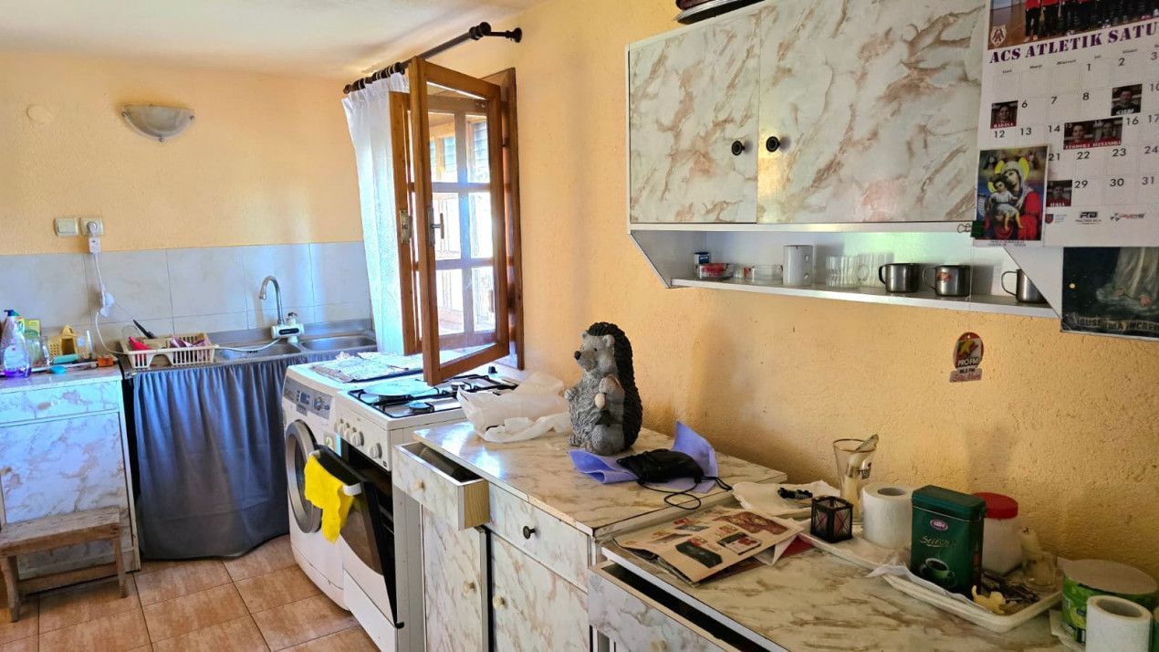 casa 3 camere Viile Satu Mare - Poză 15