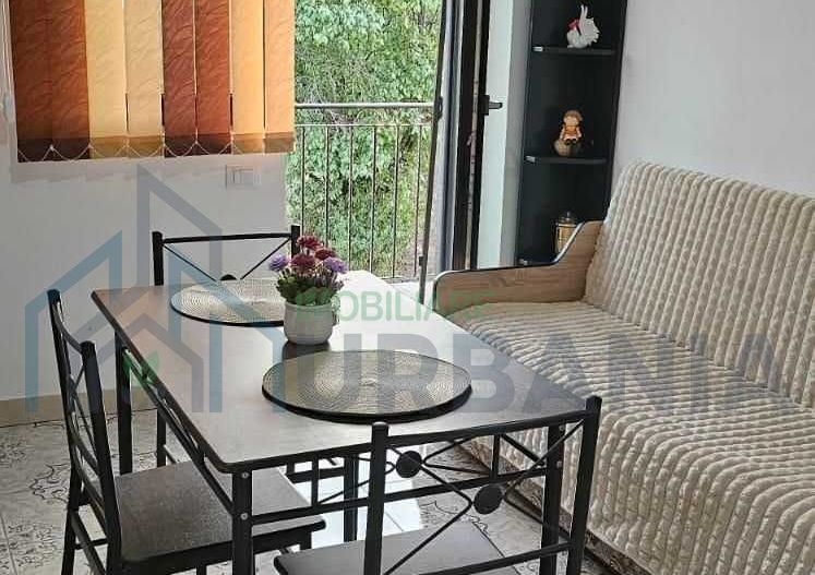 Apartament 1 cameră, Valea Adâncă - Intersecția 5 Drumuri, Iași - Poză 3