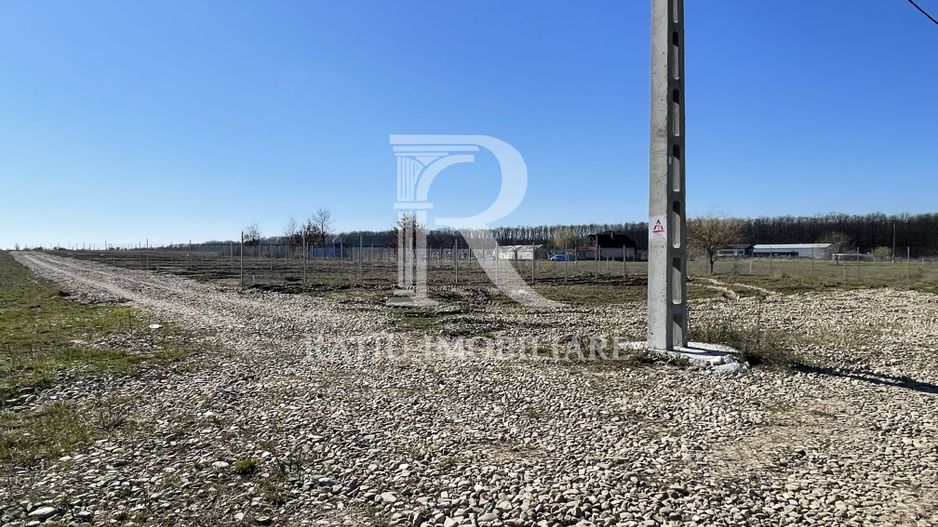 Parcele teren intravilan  | 543 mp  | Pausa  | Nojorid  |  Bihor - Poză 3