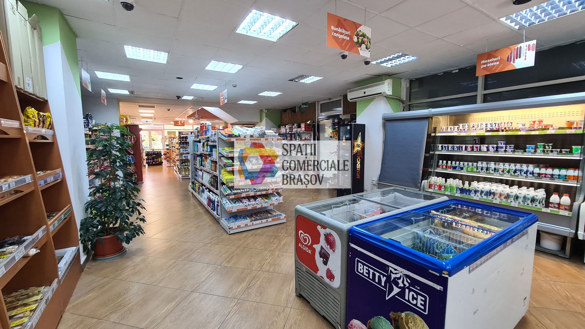 Spatiu comercial - 567 mp - Poză 4