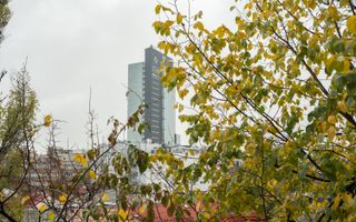 COMISION 0% - Apartament 2 camere decomandat sos. Titulescu - Piata Victoriei - Poză 4