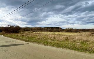 Teren extravilan 868 mp, Cârțișoara - Poză 2