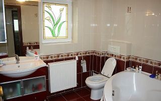 Vila 8 camere Pipera Iancu Nicolae - Poză 7