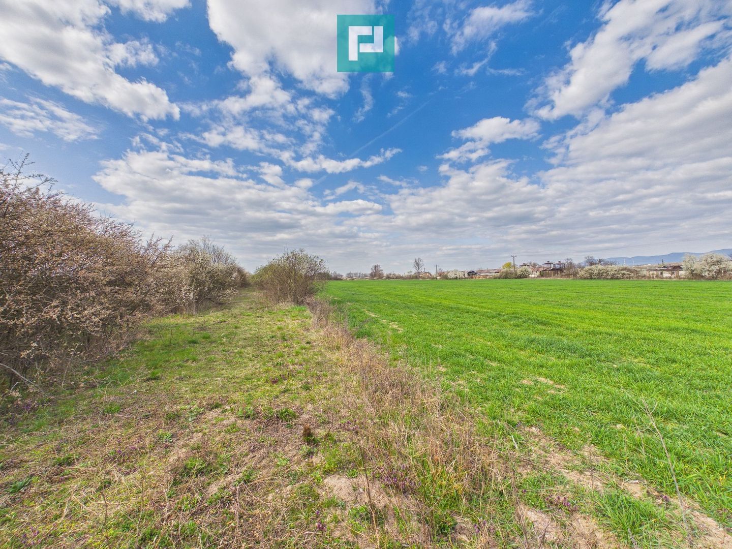 Teren extravilan, 1 ha, în orașul Sebiș, Arad - Poză 4