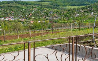 Teren intravilan și extravilan în Răducăneni, jud. Iași, zona Dealul Doi Lei - Poză 2