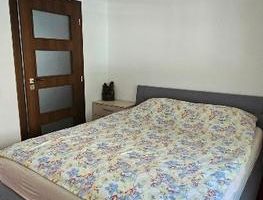 Apartament 2 camere Aradului parter cu balcon - Poză 9