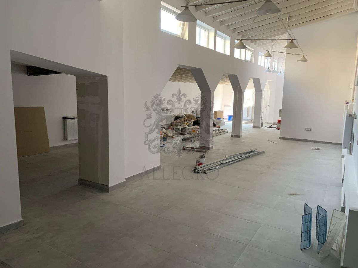 Casa Individuala | Vasile Lascar - Eminescu | 355 mp utili | 9 Camere - Poză 1