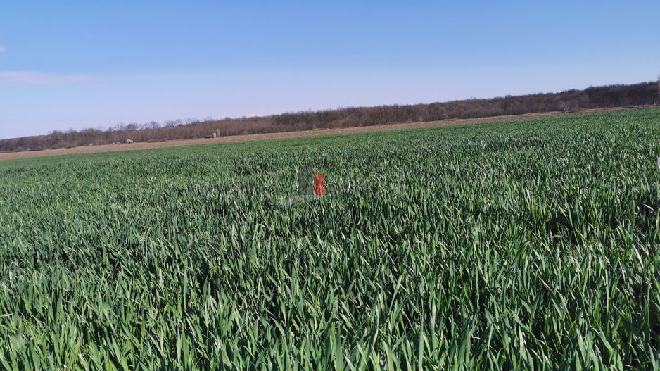 6,9 ha mp | 25 euro/mp |  in spate la Jumbo. - Poză 3