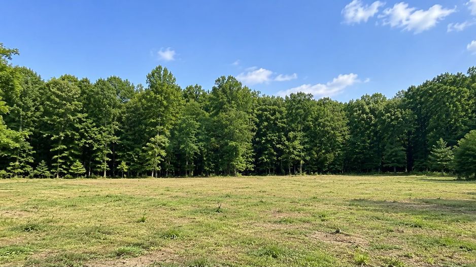 TEREN PREMIUM DE VÂNZARE | TUNARI – PRIMA LINIE LA PĂDURE - Poză 4