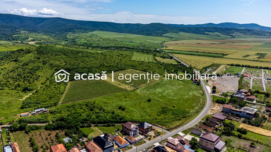 PRET REDUS Oportunitate de afacere, Teren cu vita de vie - Poză 5