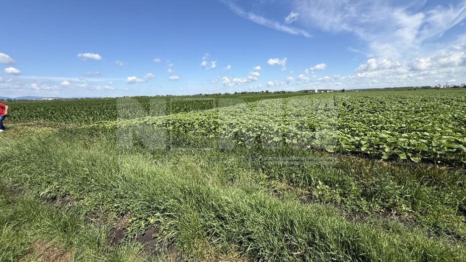 Teren extravilan de vânzare | Rădăuți | 4.000 mp - Poză 2