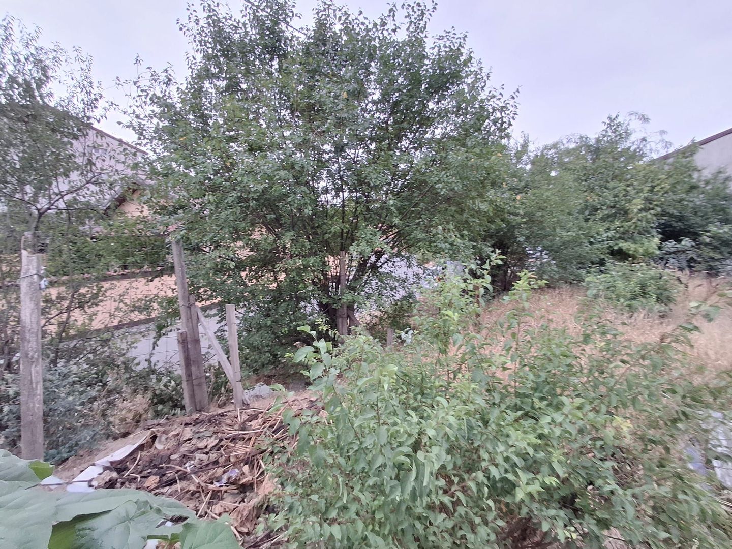 Teren de vanzare - zona Maior Colentina - Poză 8