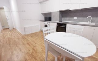 Inchiriere Studio Baneasa Bucuresti sector 1  curte privata, Aeroprort - Poză 17