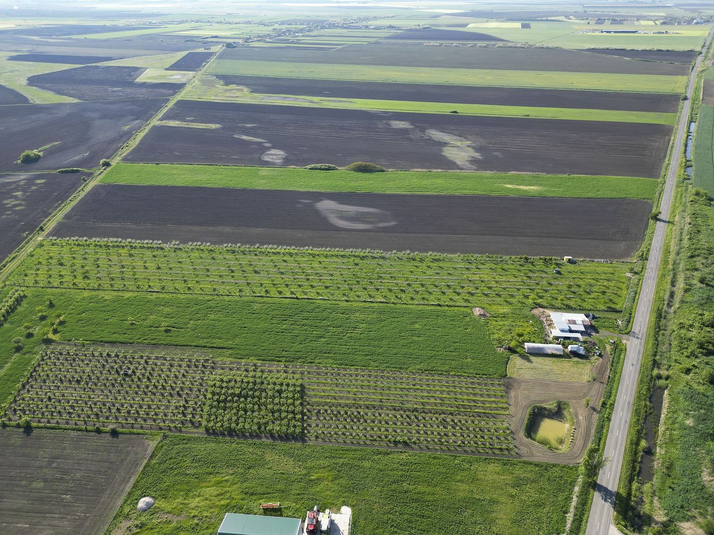 Livadă de nuci și pruni 2.4ha în Variașul Mare - Poză 19