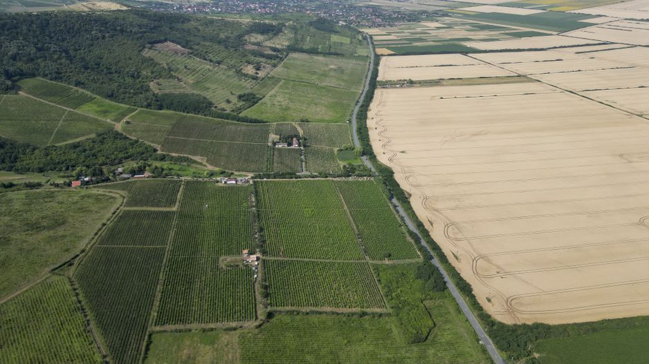 Vie Tradițională „Halta Lupilor” - Poză 32