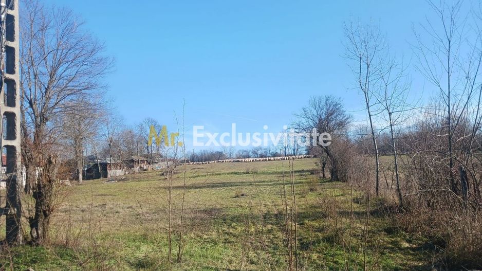 Teren intravilan 6500 mp- Gliganu de Sus - Rociu - Poză 1