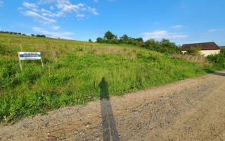 Teren 1.370 mp, intravilan, Livezeni, 0% comision - Poză 6